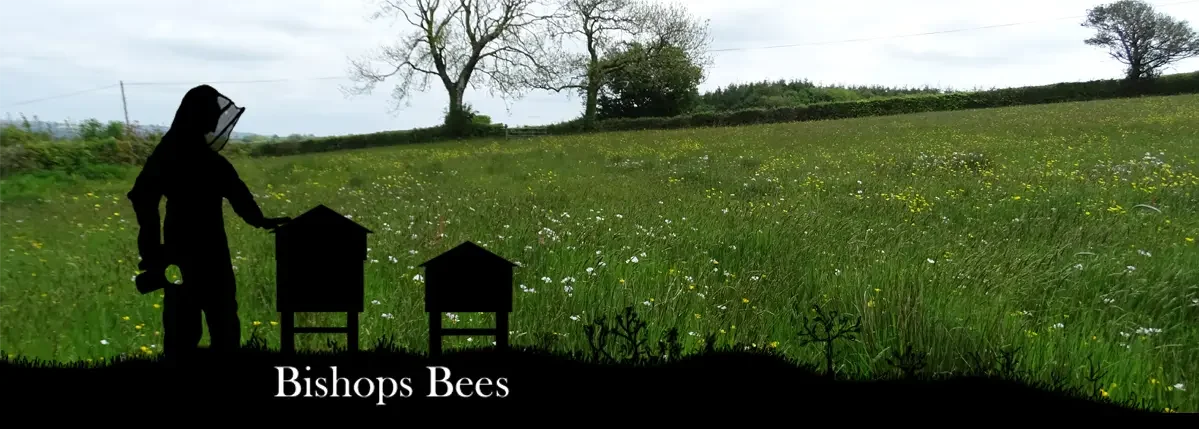 Bishops Bees